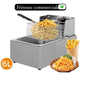 friteuse électrique professionnelle, Des frites dorées et croustillantes à volonté, Rapide, efficace et facile à nettoyer