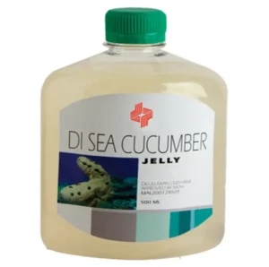 Concombre de mer DI SEA CUCUMBER, Aide à soulager la constipation, Favorise la fertilité chez la femme, Anti-stress