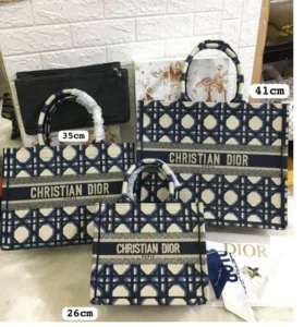 Sac Dior Book Tote