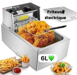 friteuse électrique professionnelle, Des frites dorées et croustillantes à volonté, Rapide, efficace et facile à nettoyer