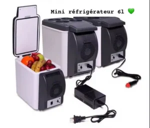 Mini Réfrigérateur / Congélateur Portable 6L 12V pour Voiture – Gardez Vos Boissons et Aliments au Frais sur la Route